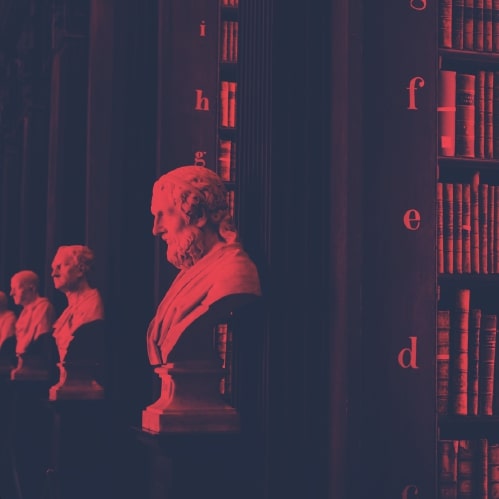 التخصصات الإجتماعية و الإنسانية